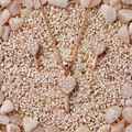 Rose Gold Heart Key Jewelry Set
